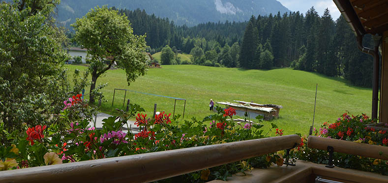 Bauernhof Strasserhof mit Gästezimmer in Brixen im Thale Kitzbühel
